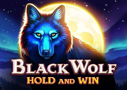 Black Wolf Hold and Win