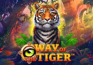 Way Of The Tiger