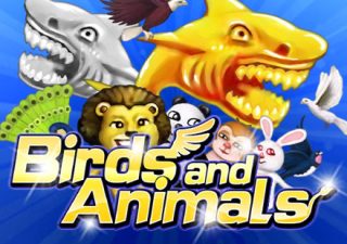 Birds and Animals