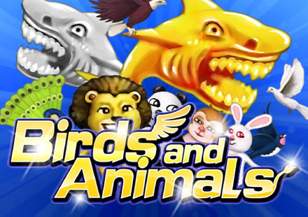 Birds and Animals