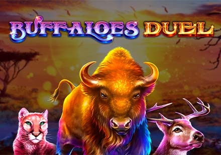 Buffaloes Duel