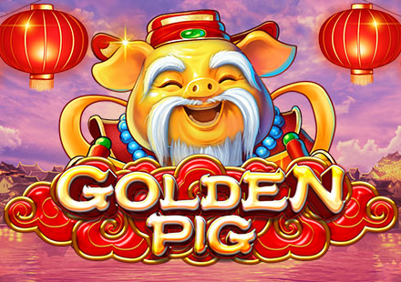 Golden Pig