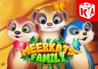 Meerkats Family