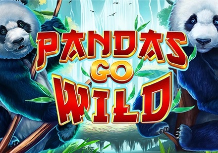 Pandas Go Wild