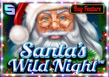 Santas Wild Night