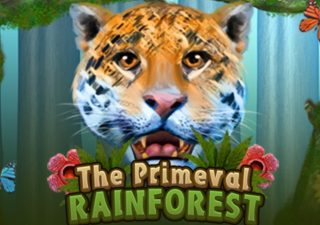 The Primeval Rain forest