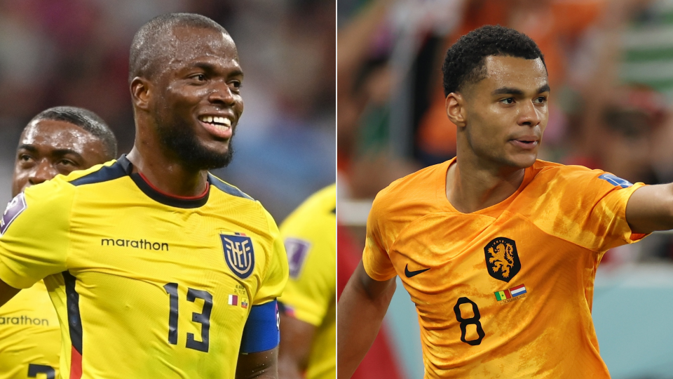Netherlands vs Ecuador Betting Preview & Tips World Cup 2022